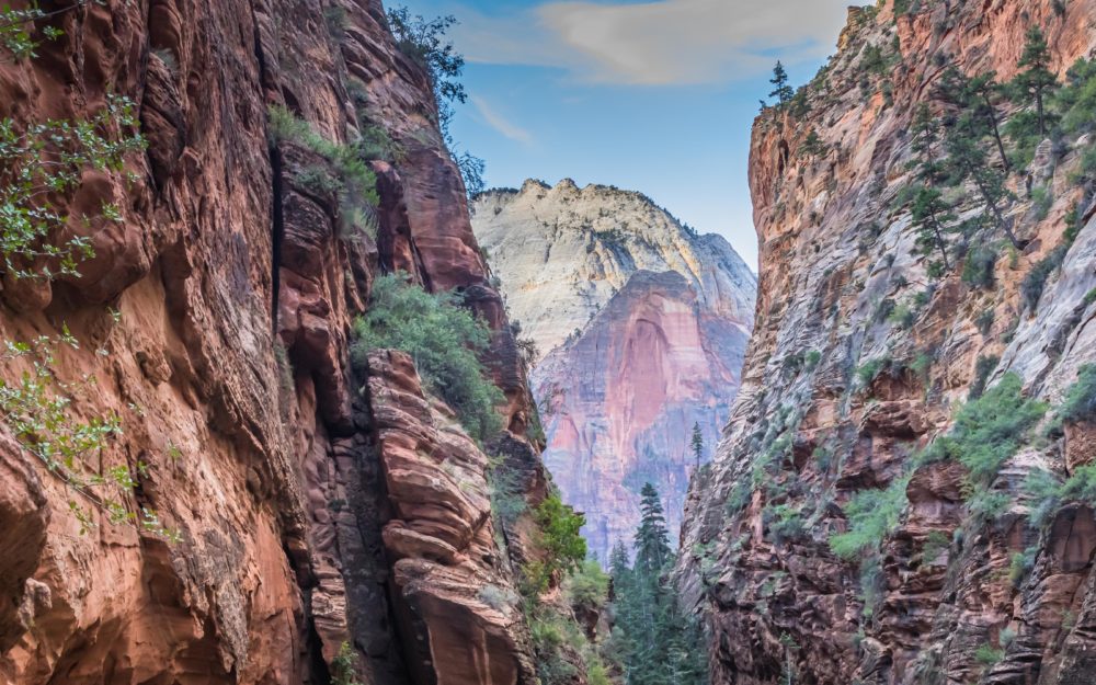 ZION